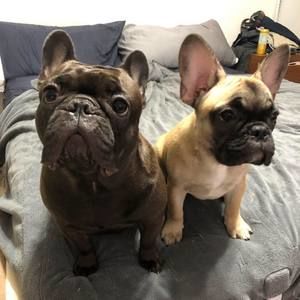 Meet your Posher, Cory